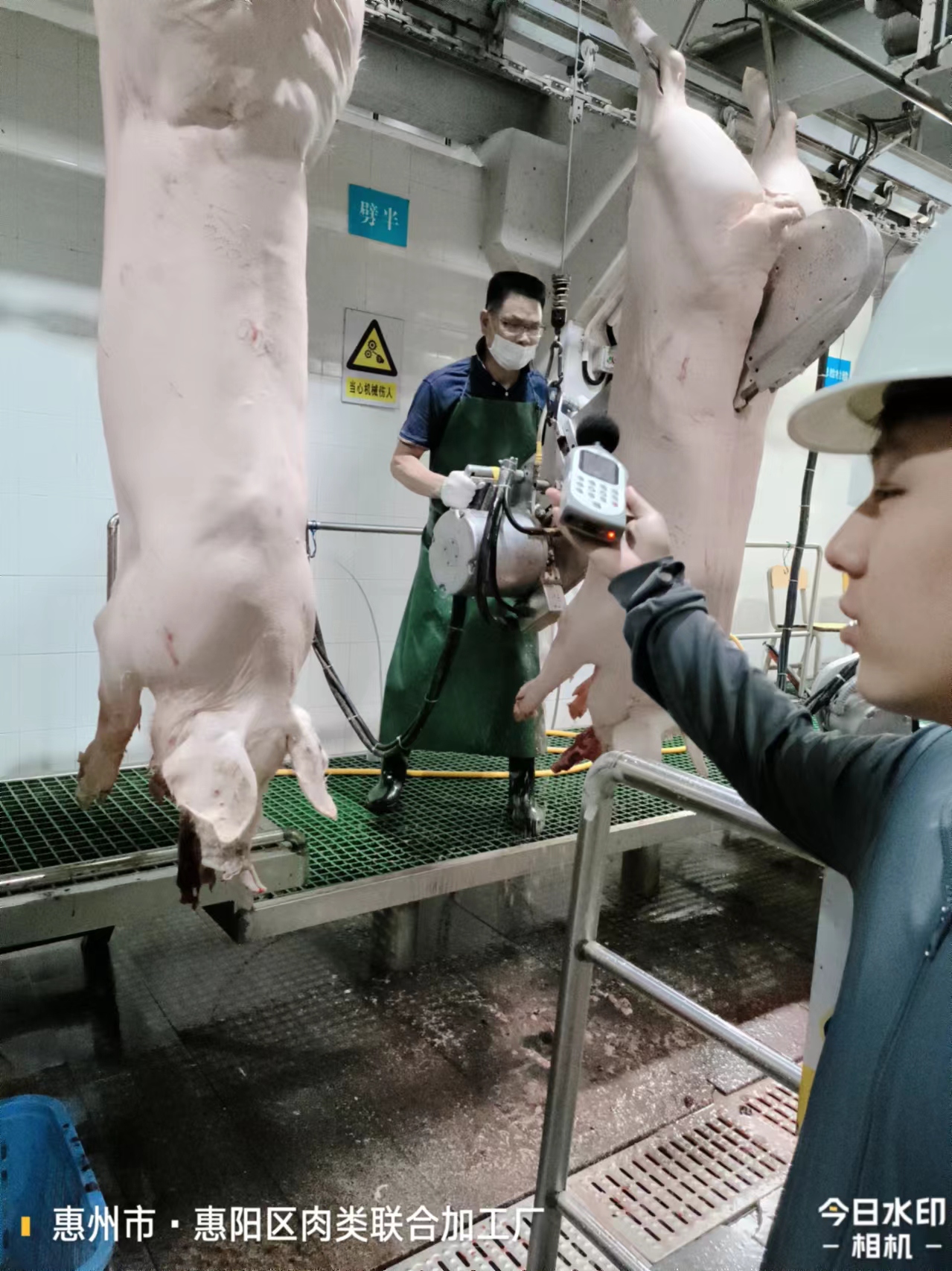 9a72b574a904eaab2050a31a408d8fc